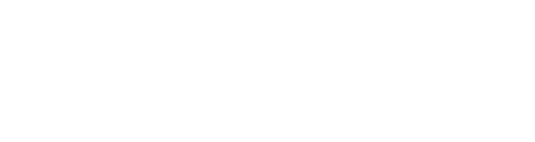 ZIRBE Logo